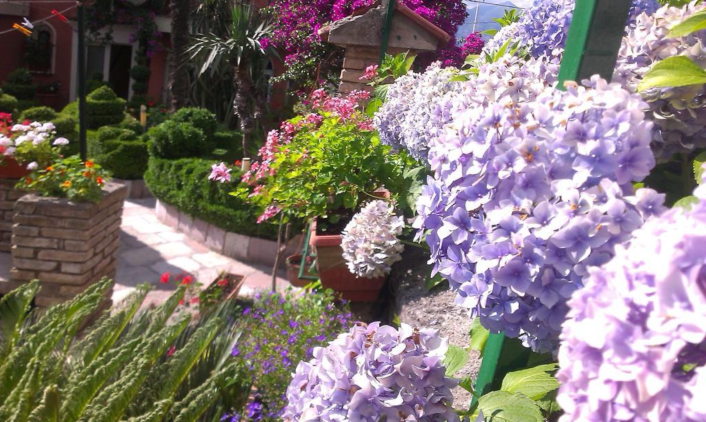 Apartment City Garden Kotor Quarto foto